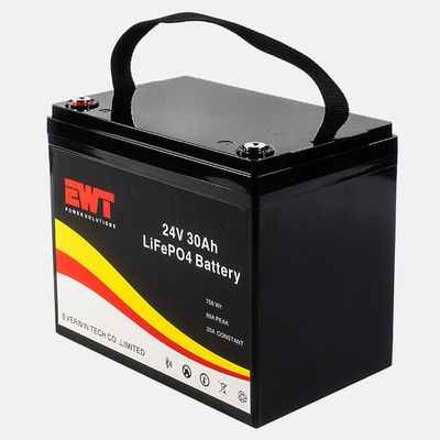comprar Batería de fosfato de hierro y litio de 24 V respetuosa con el medio ambiente con un costo asequible y una alta densidad de energía online manufacture